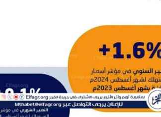 زيادة حصة الاقتصاد الرقمي في الناتج المحلي بنسبة 15.6% 156