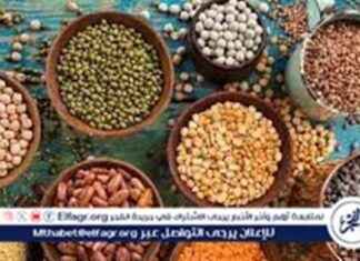 أسعار البقوليات في قنا اليوم الثلاثاء 20-5-2025 20-5-2025