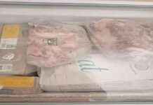 لحوم هندية بسعر مدعم: الكيلو بـ 210 جنيهات في تموين جنوب سيناء 210