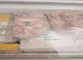 لحوم هندية بسعر مدعم: الكيلو بـ 210 جنيهات في تموين جنوب سيناء 210