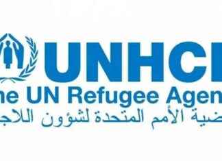 تأثير إلغاء 3 آلاف وظيفة من قبل مفوضية اللاجئين – السبب والتداعيات 3