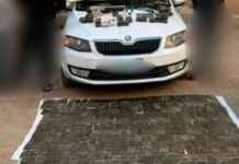 ضبط 417 قضية مخدرات و206 سلاح خلال 24 ساعة 417-206-24