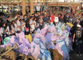 جمع 5 طن مخلفات من قاع البحر في شرم الشيخ 5