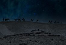 الأهلي ضد الأهرام: مواجهة حماسية تنتظرها الجماهير بشغف