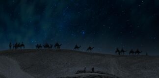 الأهلي ضد الأهرام: مواجهة حماسية تنتظرها الجماهير بشغف