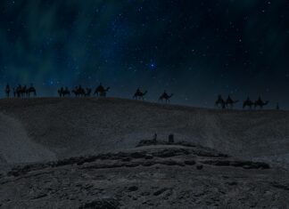 الأهلي ضد الأهرام: مواجهة حماسية تنتظرها الجماهير بشغف