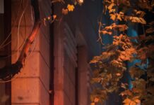 برج فلكي: اكتشف أسرار الأبراج وتأثيرها القوي على حياتك