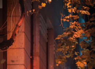 برج فلكي: اكتشف أسرار الأبراج وتأثيرها القوي على حياتك