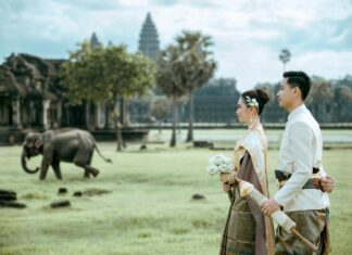 1xbet هل هو الخيار الأمثل للمراهنات؟ اكتشف الحقيقة الآن!