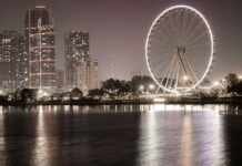 س: كيف تؤثر هذه الحرف الصغير على فهم اللغة العربية بطريقة مذهلة؟