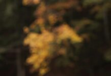 El Obour: اكتشف أسرار المدينة النابضة بالحياة والفرص الذهبية