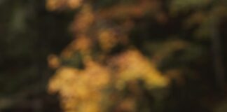 El Obour: اكتشف أسرار المدينة النابضة بالحياة والفرص الذهبية