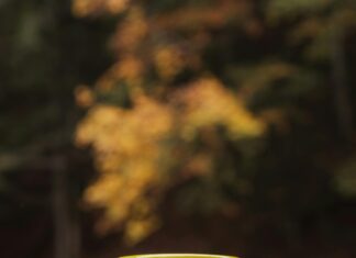 El Obour: اكتشف أسرار المدينة النابضة بالحياة والفرص الذهبية