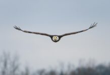 ليفربول: لماذا تُعتبر هذه المدينة وجهة لا تُفوت لكل مسافر؟