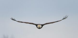 ليفربول: لماذا تُعتبر هذه المدينة وجهة لا تُفوت لكل مسافر؟