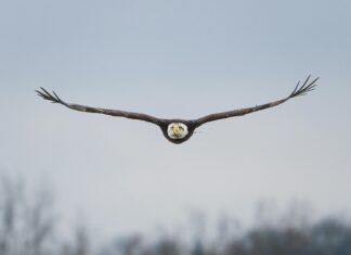 ليفربول: لماذا تُعتبر هذه المدينة وجهة لا تُفوت لكل مسافر؟