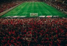 Zamalek: لماذا يُعتبر من أفضل الأماكن للزيارة في مصر؟