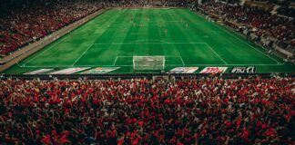 Zamalek: لماذا يُعتبر من أفضل الأماكن للزيارة في مصر؟