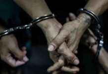 تفاصيل إحالة المتهمة بسرقة ذهب من شقة بالمعادى للمحاكمة