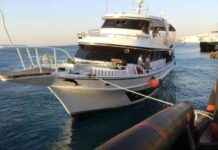 حريق في قارب سياحي بالغردقة – تحقيق قيد الإجراء – مصر المستقلة