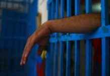 اعترافات عصابة سرقة الدراجات النارية في المعادى – أخبار اليوم السابع