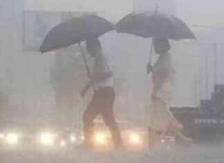 كارثة انهيار منجم الذهب في إندونيسيا: قتلى وجرحى