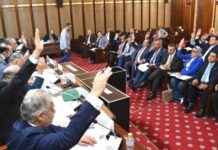 تمرير قوانين الانتخابات في مصر: توافق برلماني حكومي