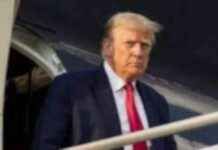 ترامب يسعى لإنهاء الحرب في غزة