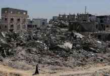 مصر تلعب دورًا رئيسيًا في الجهود الإنسانية لغزة – مصر إندبندنت