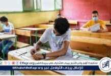 امتحان طلاب الصف السادس في الدقهلية: الرياضيات والمهارات المهنية