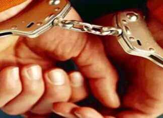 كيفية التعرف على الشهادات المزورة والوقاية من النصب في المجتمع