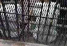 إحالة أوراق مُدانين بالقتل في شبرا الخيمة للمفتي