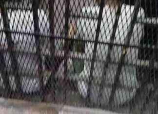 الحكم النهائي في جريمة قتل سائق نقل ذكي بالجيزة اليوم