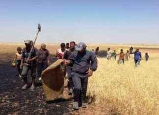 مسؤولية حرائق حقول القمح في العراق