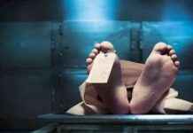 قصة زواج فتاة بولاق تتسبب في جريمة قتل واعتقال .. تفاصيل الواقعة