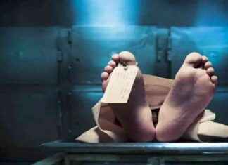 قصة زواج فتاة بولاق تتسبب في جريمة قتل واعتقال .. تفاصيل الواقعة