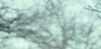 رمضان ٢٠٢٤: أسرار وروائع لا تعرفها عن شهر الصيام المبارك