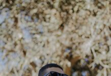 بنك المعرفة المصري: اكتشف كيف يغير مستقبل التعليم في مصر