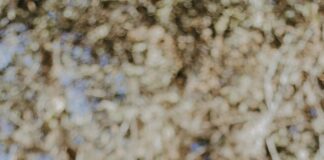 ماتش مصر: كيف تستعد لمتابعة أقوى المباريات المثيرة؟