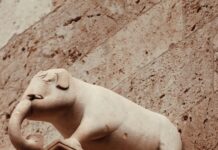 نتيجة الثانوية العامة برقم الجلوس: كيف تحقق أفضل النتائج بسهولة؟