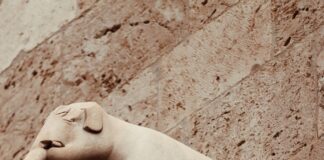 نتيجة الثانوية العامة برقم الجلوس: كيف تحقق أفضل النتائج بسهولة؟