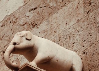 نتيجة الثانوية العامة برقم الجلوس: كيف تحقق أفضل النتائج بسهولة؟