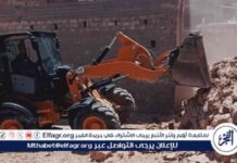 إزالة 19 حالة تعدي على أراضي زراعية في أسيوط 19