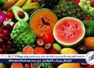 أسعار الفاكهة اليوم في الدقهلية – 19-7-2025 19-7-2025