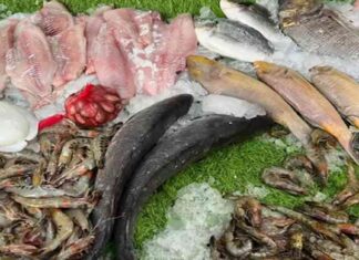 أسعار الأسماك والمأكولات البحرية في سوق العبور 19-7-2025 19-7-2025