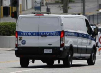 اصطدام سيارة بحشد في لوس أنجليس: أكثر من 20 إصابة 20