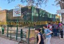 هل سترتفع أسعار تذاكر حديقة الحيوان في عام 2025؟ 2025