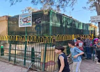 هل سترتفع أسعار تذاكر حديقة الحيوان في عام 2025؟ 2025