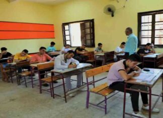 رابط نتيجة الثانوية العامة 2025: تفاصيل كاملة 2025