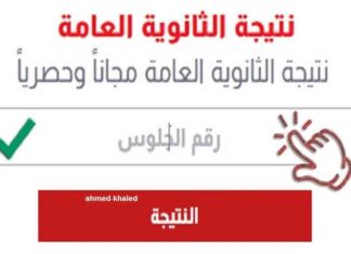 نتيجة الثانوية العامة 2025 بالاسم في ثواني 2025